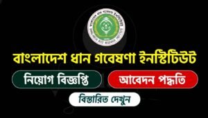 বাংলাদেশ ধান গবেষণা ইনস্টিটিউট নিয়োগ বিজ্ঞপ্তি ২০২৫