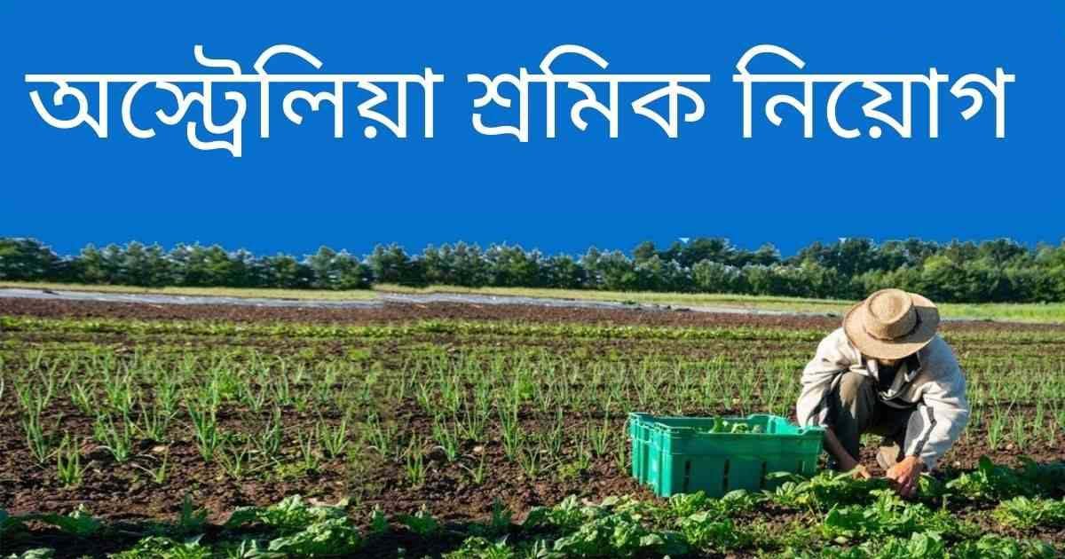 Australia Free Training and Job Opportunity 2025 – অস্ট্রেলিয়ায় ১ লাখ কর্মী নিয়োগের ফ্রি প্রশিক্ষণ